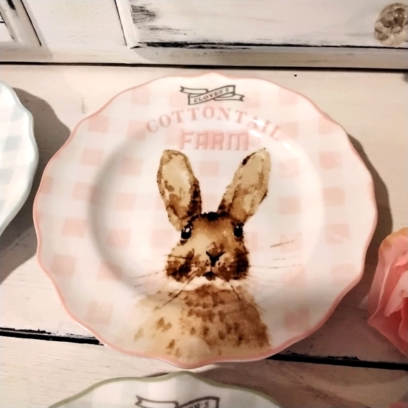 Cottontail Farms Bunny Rabbits Plates 🐇 nwob - Picture 3 of 6